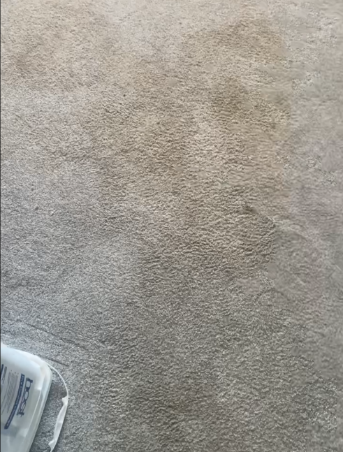 Before cleaning carpet with dirt spots